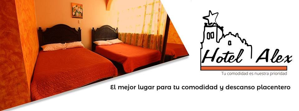 Hotel Alex