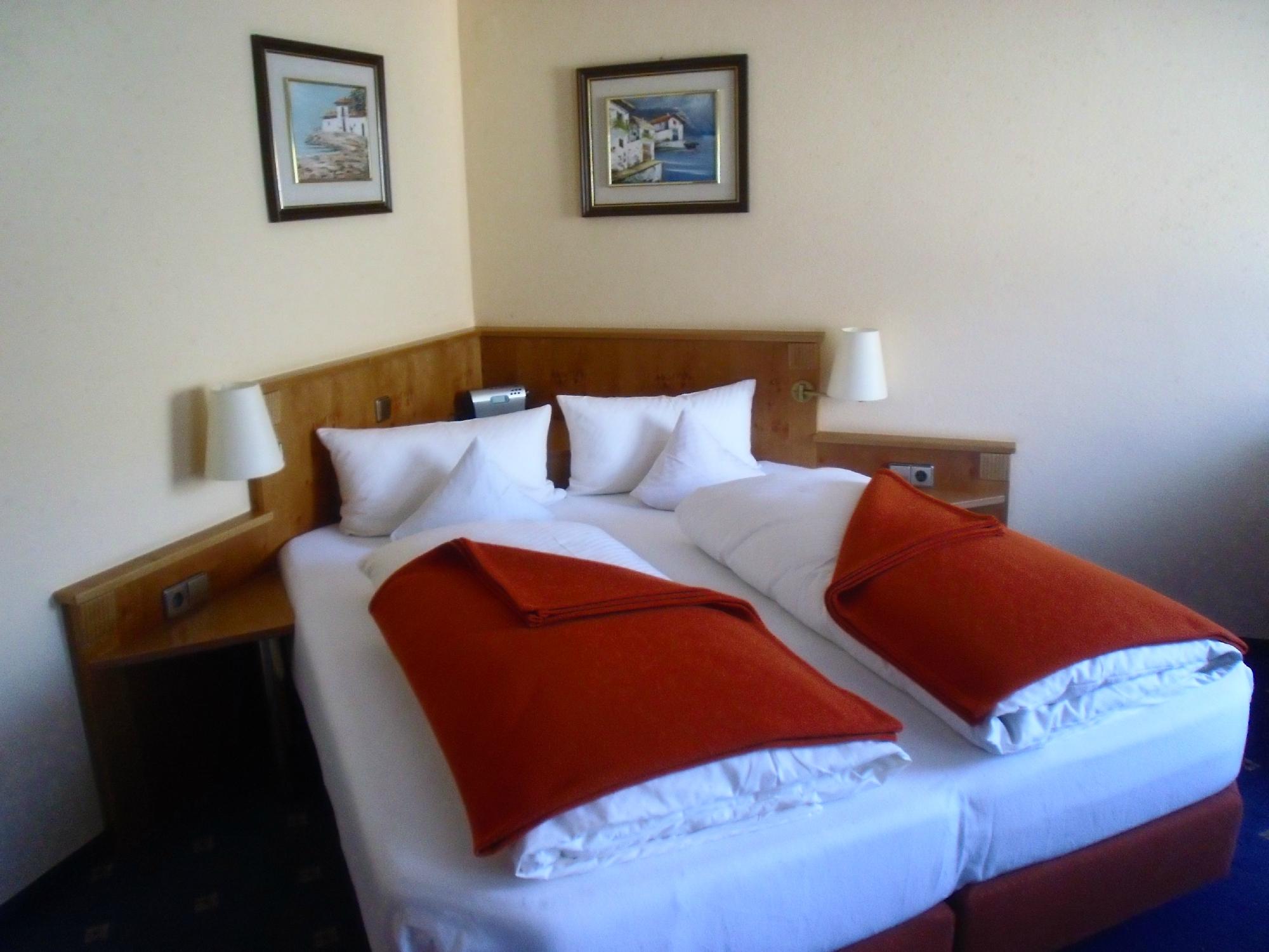 Hotel Altenberg-客卧