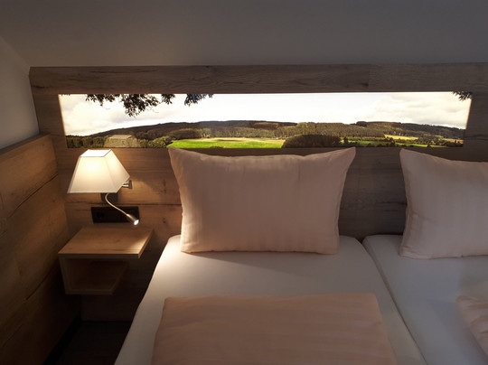 Olsberg酒店住宿-宾格酒店