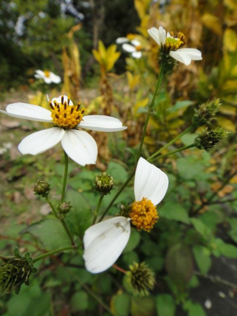 北回归线标志公园-桂平市必去景点