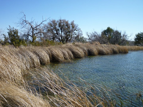 Smith Spring-Guadalupe Mountains National Park必去景点