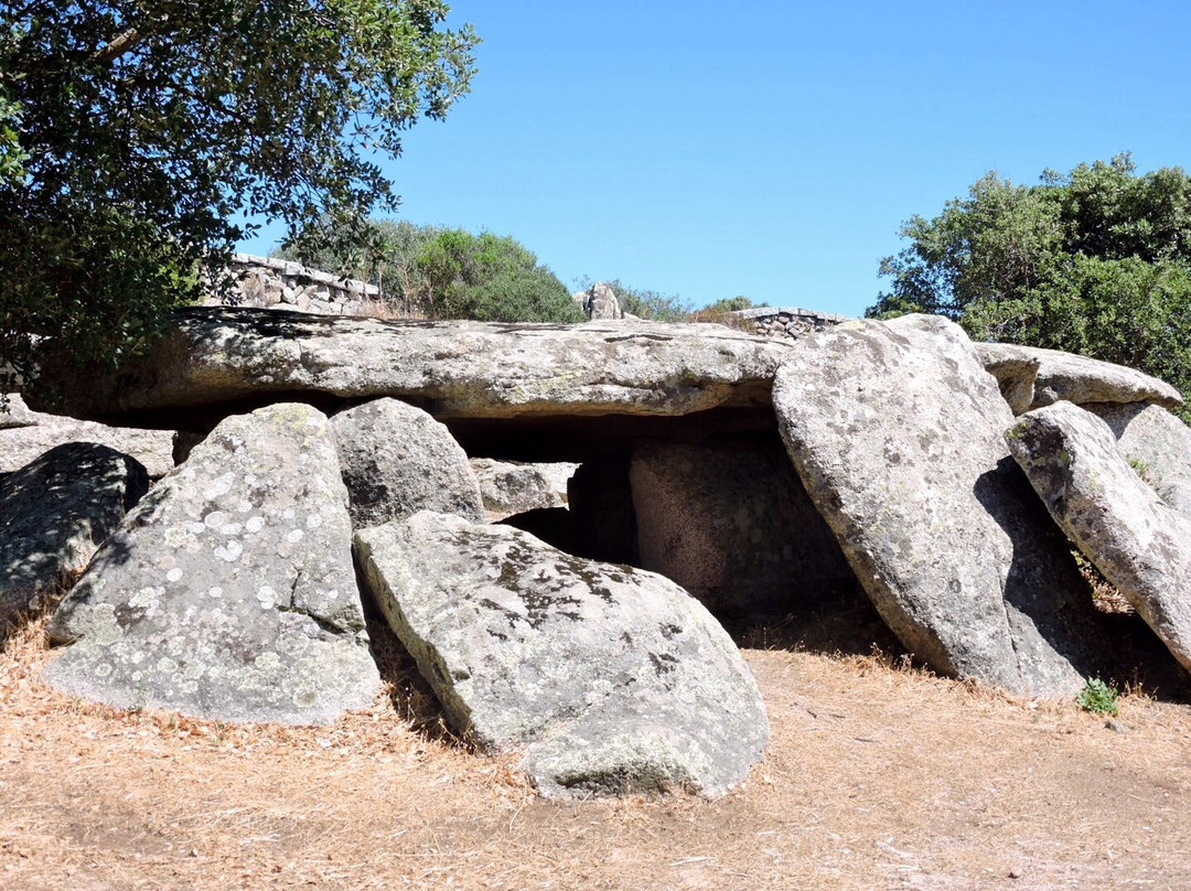 Dolmen Luras景点图片