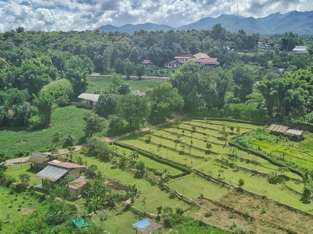 Tham Lot旅游攻略图片