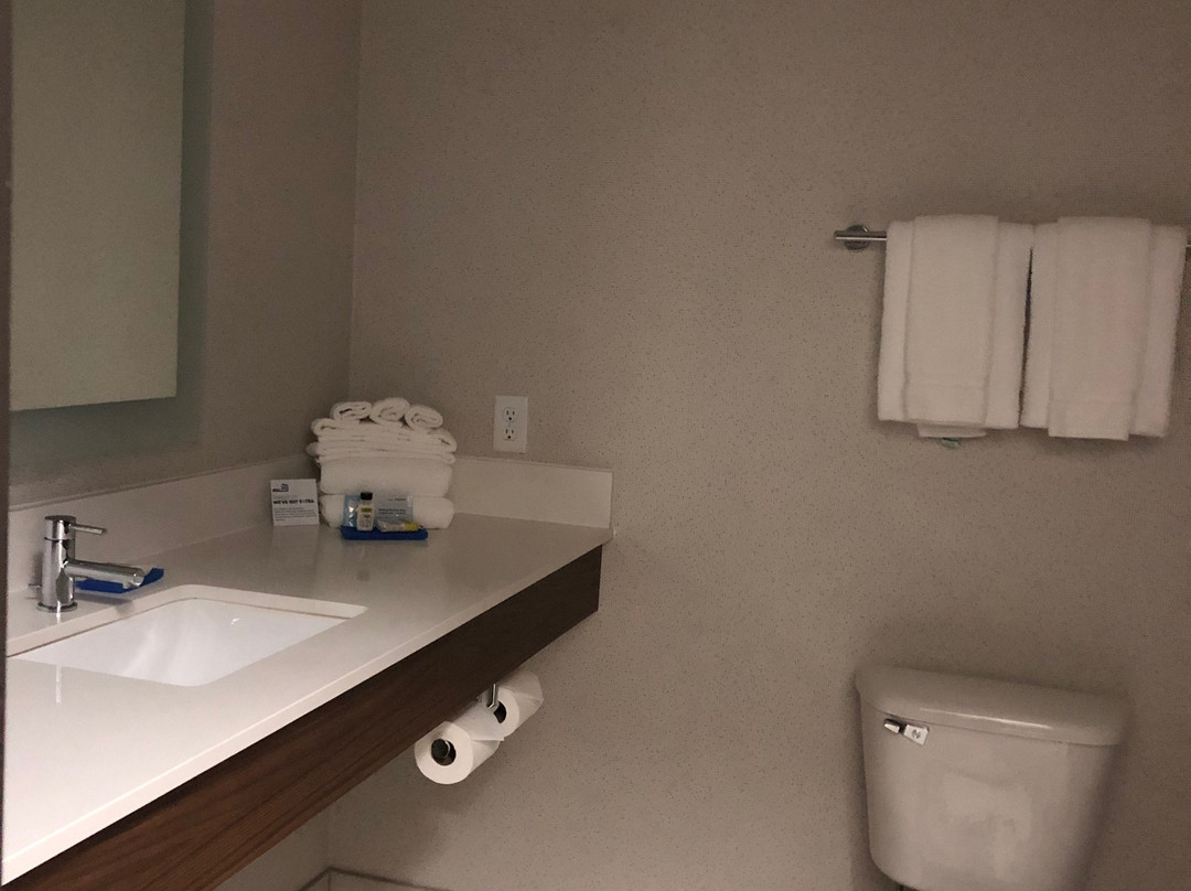 Holiday Inn Express & Suites Albany By IHG主图