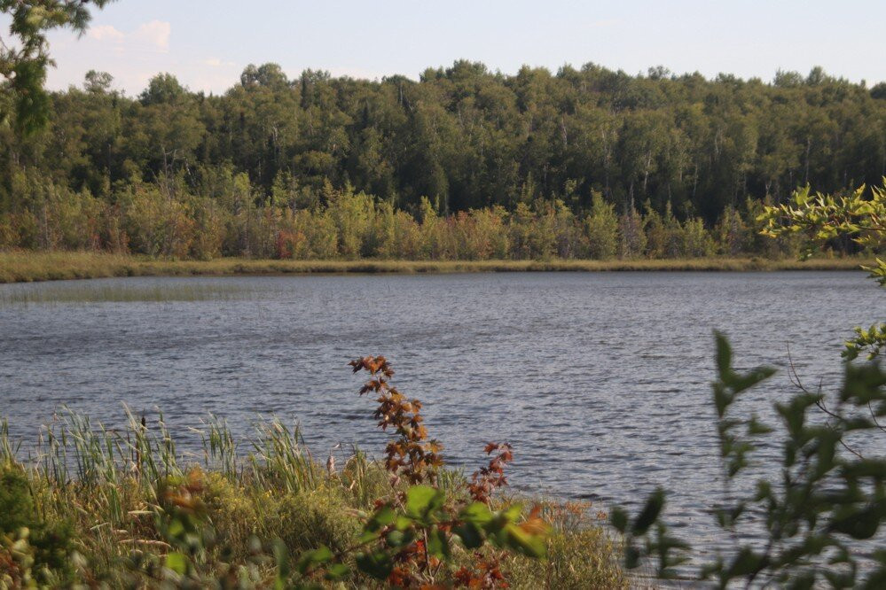 Cotrill Lake And Side Trail, Dyers Bay景点图片