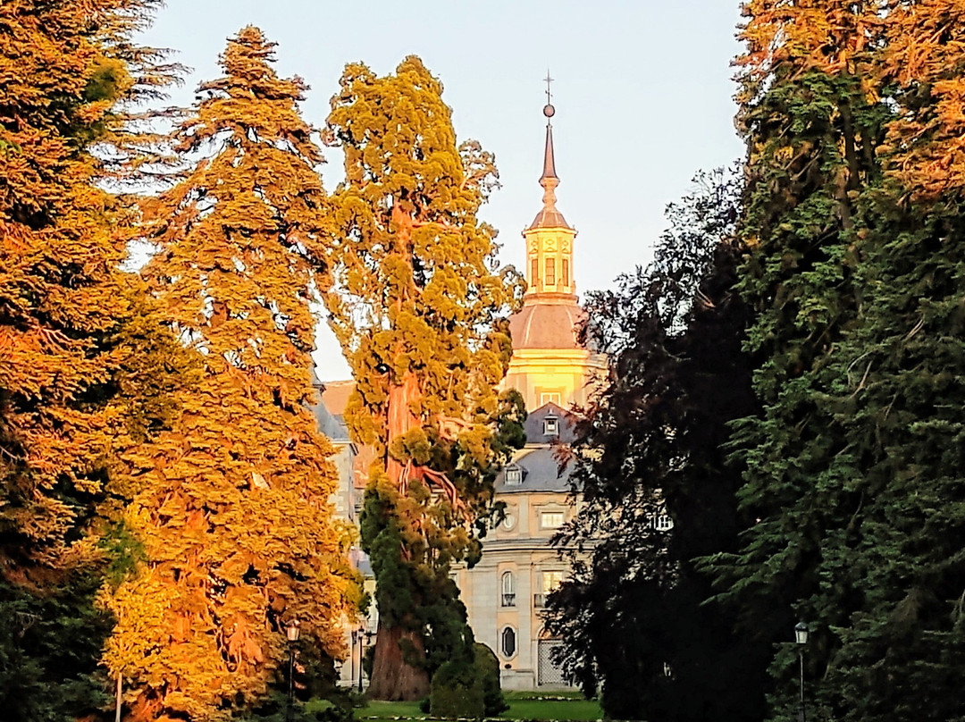 Real Colegiata de la Santísima Trinidad-La Granja de San Ildefonso必去景点