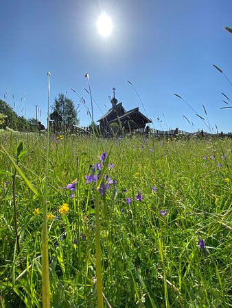 Chapel of St. Nicholas-Gomorovichi必去景点