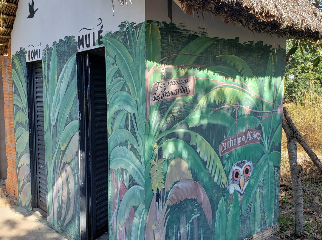 Fervedouro Das Macaúbas-Mateiros必去景点