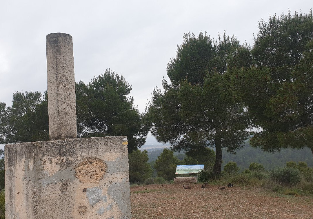 Cabezo del Alto-Sangonera La Verde必去景点