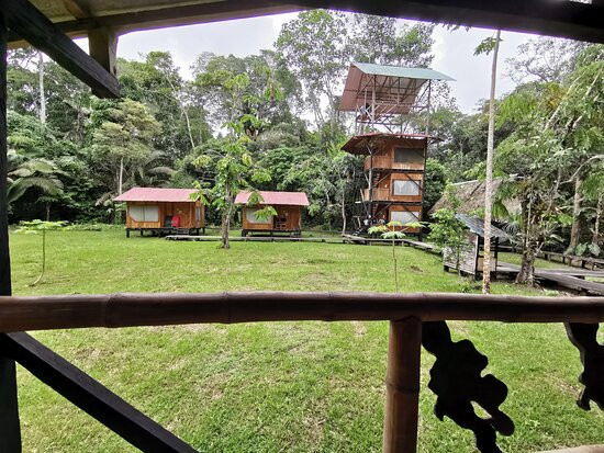 Tour Cuyabeno - Canangueno Lodge景点图片