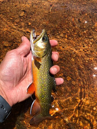 Echo Adventure Cooperative-格罗夫兰必去景点