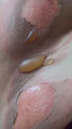 Hotel Bosque Escondido主图