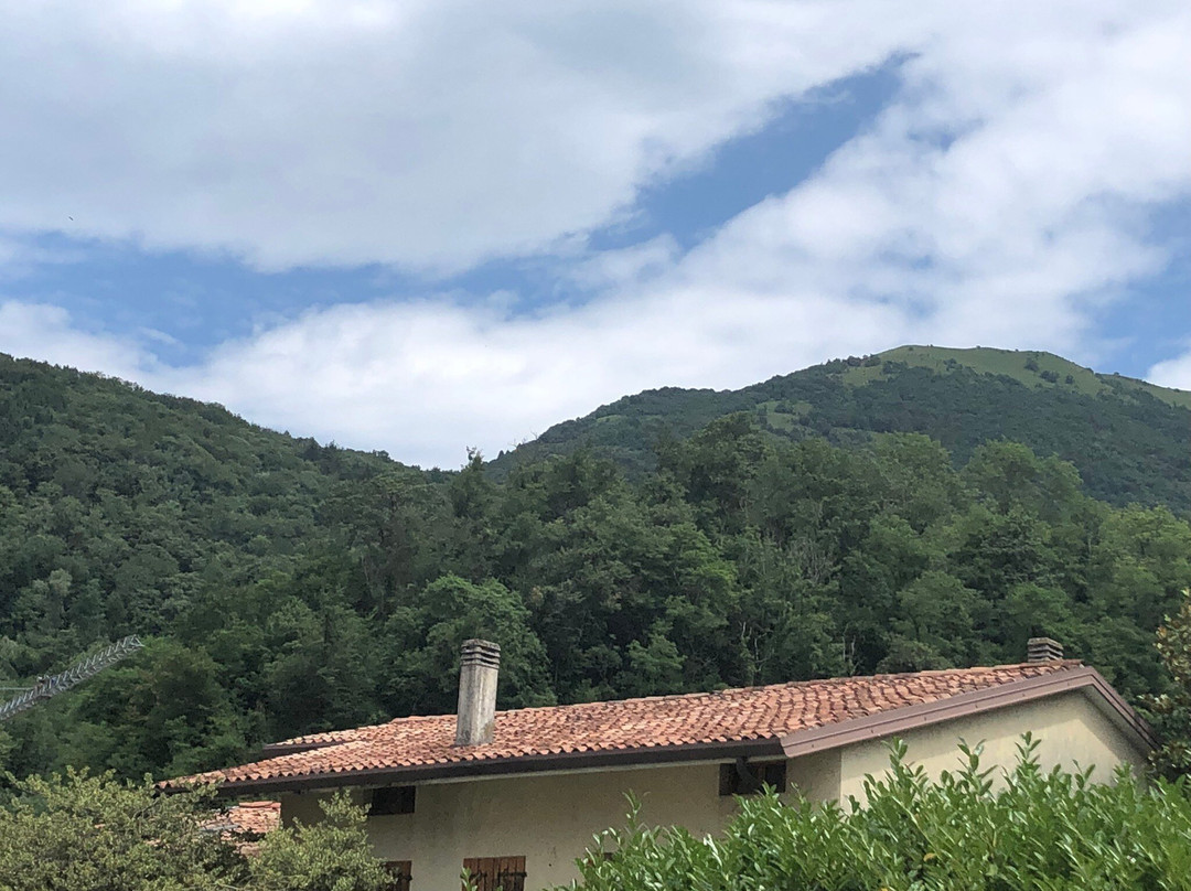 Castello Di Meduno景点图片