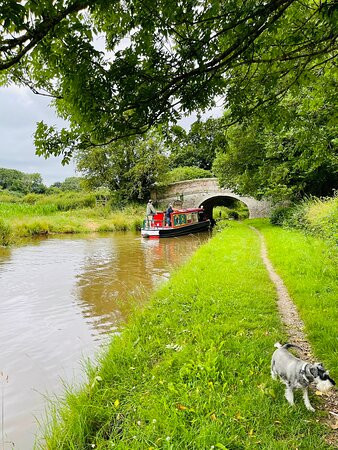 Whitchurch Marina-Whitchurch必去景点