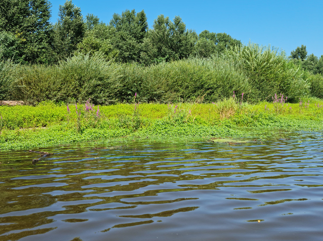 Canoe Loire Aventure景点图片