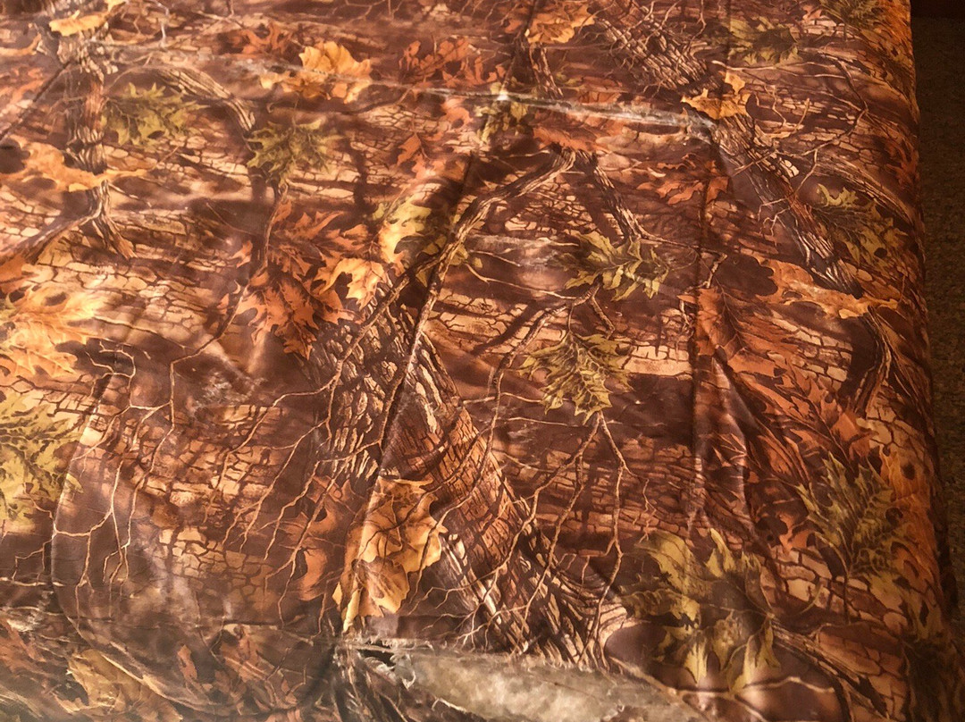 White Tail Resort主图