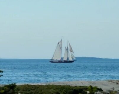Anchor Tours-哈利法克斯必去景点