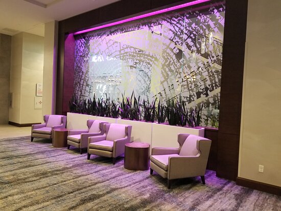 Embassy Suites by Hilton Denton Convention Center-浴室
