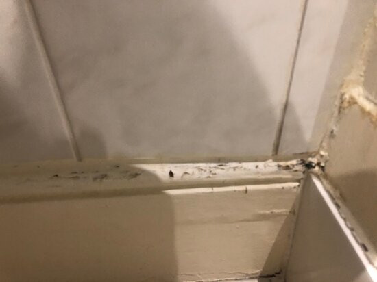 西布鲁克别墅酒店主图