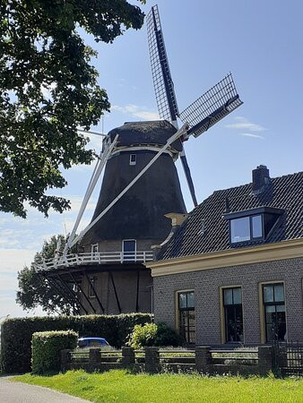 Molen 'de Zwaluw' (1784)-Hasselt必去景点
