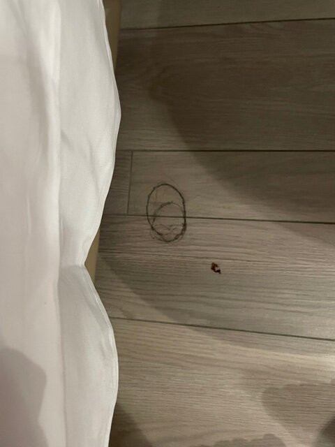 RMH Lopud Lafodia主图