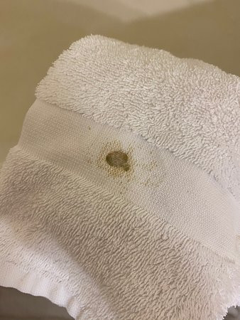 Country Inn & Suites by Radisson, Holland, MI主图