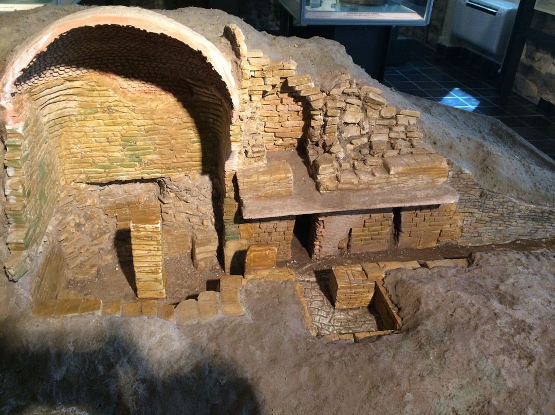 Museo Civico Archeologico Isidoro Falchi景点图片