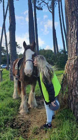 Muriwai Beach Horse Treks景点图片