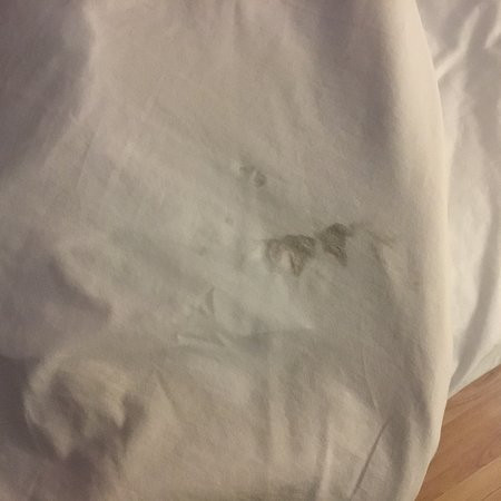 Island View Lodge主图