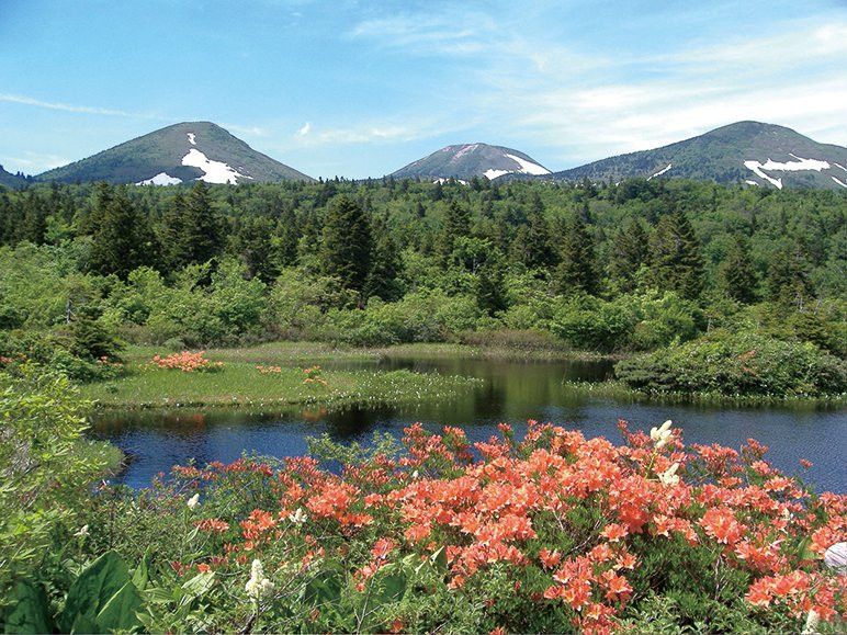 Towada-Hachimantai National Park-十和田市必去景点