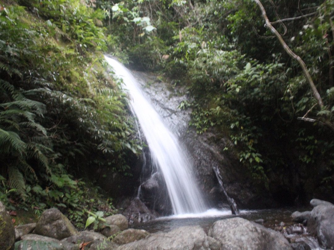 Cabacan Falls景点图片