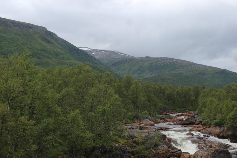 Svanelva