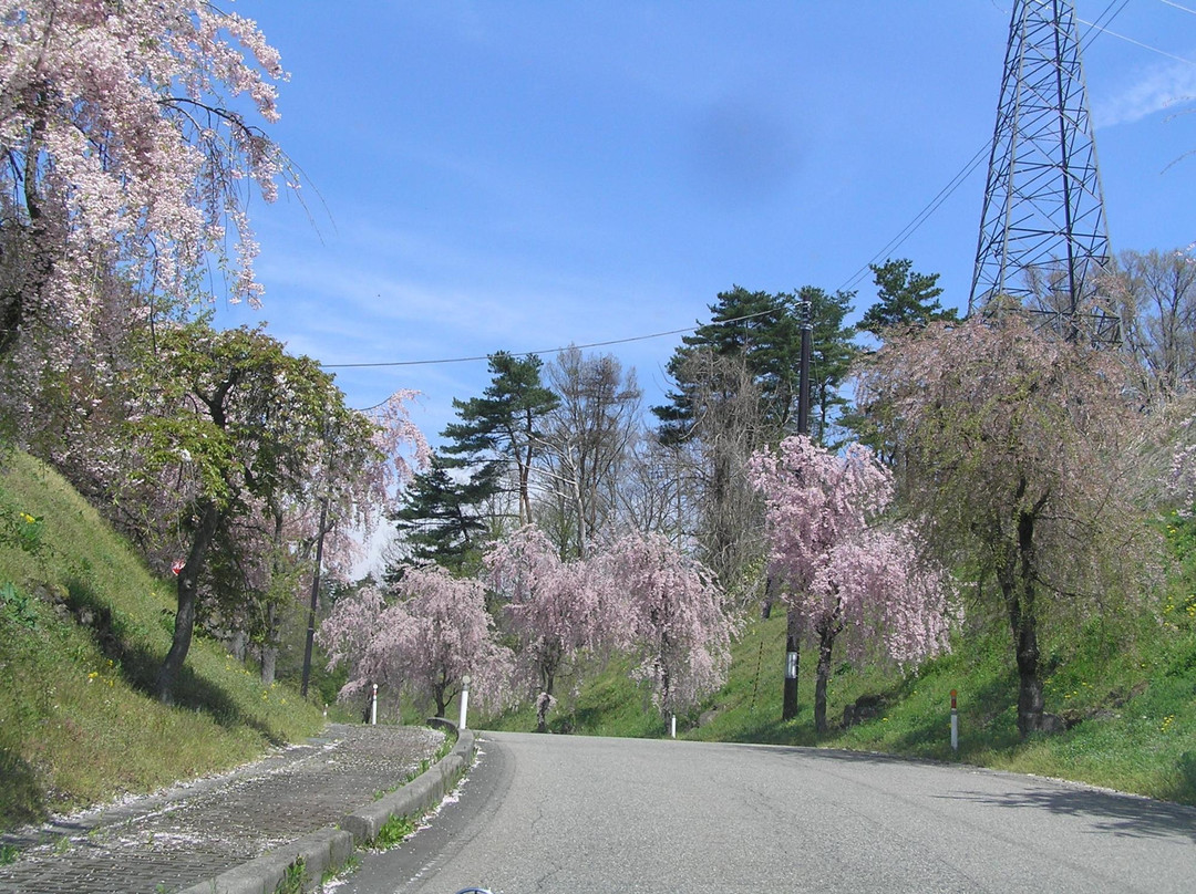 Bandai Furusato no Mori Park景点图片