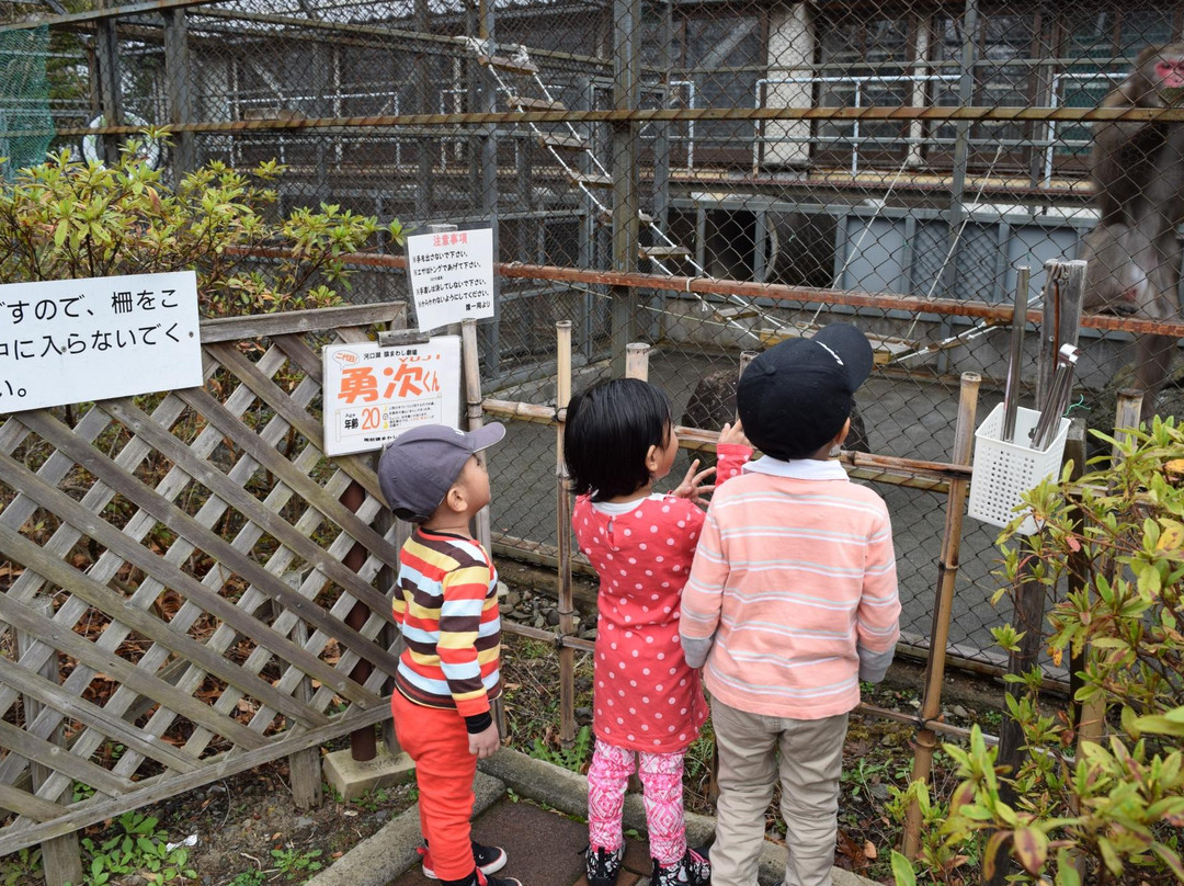 Kawaguchiko Sarumawashi Theater-富士河口湖町必去景点