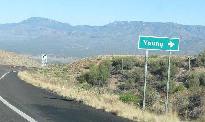 Young旅游攻略图片