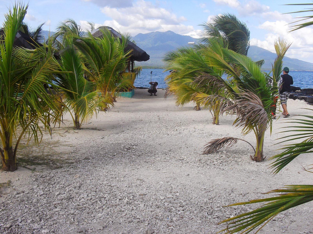 塔里库德岛旅游攻略图片
