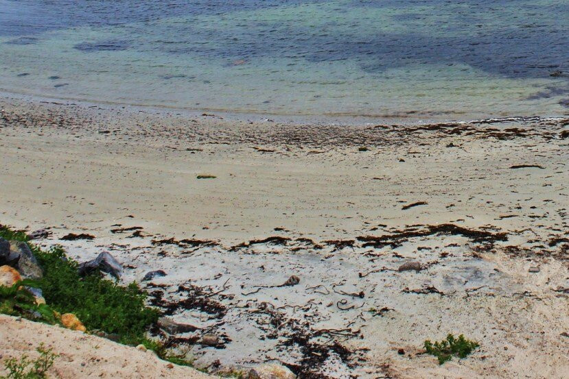 Malnessanden Beach