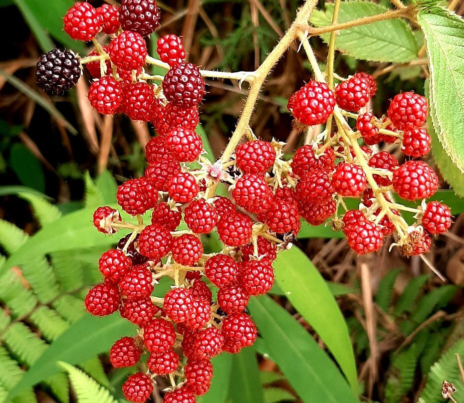 Villa Luney-恩维加多必去景点