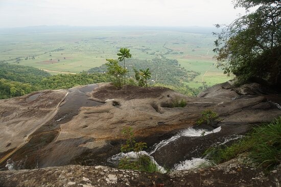 Udzungwa Mountains National Park景点图片