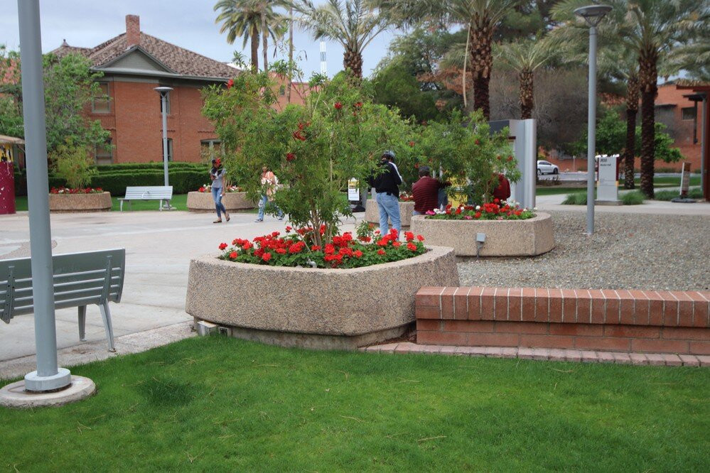 Arizona State University-坦佩必去景点