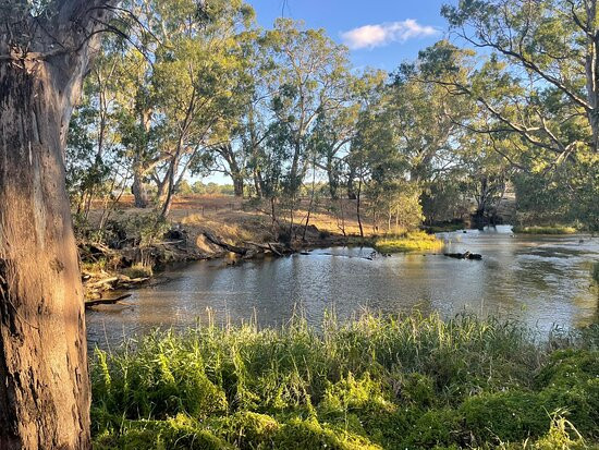 Axedale Platypus Compass-Axedale必去景点