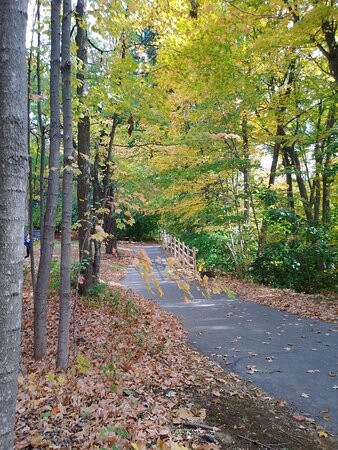 Charter Oak Park-曼彻斯特必去景点