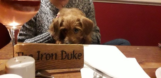 The Iron Duke主图