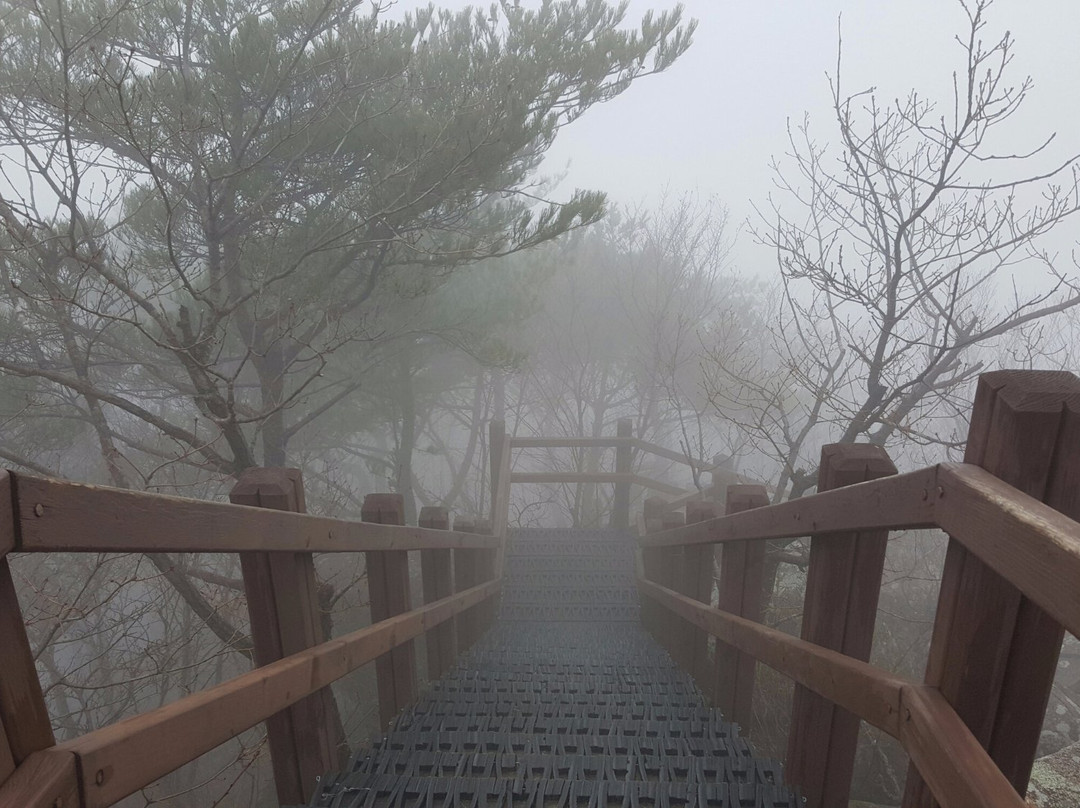 Sillimbong Peak-大邱必去景点