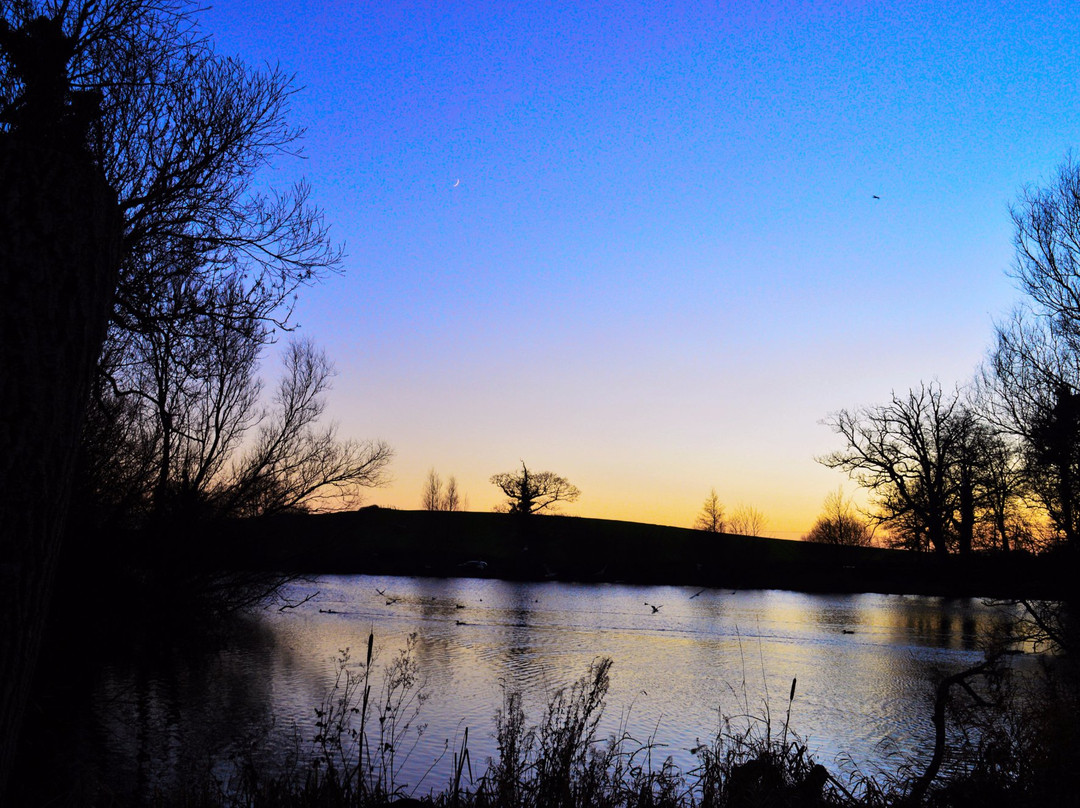 Stephenstown Pond Nature Park景点图片