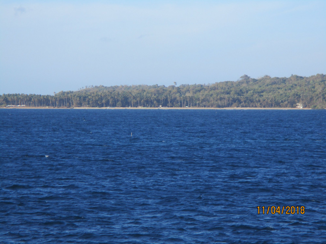 Bisucay Island景点图片