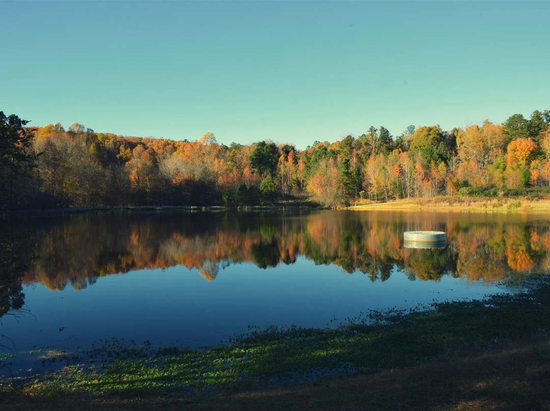 Hillsborough旅游攻略图片
