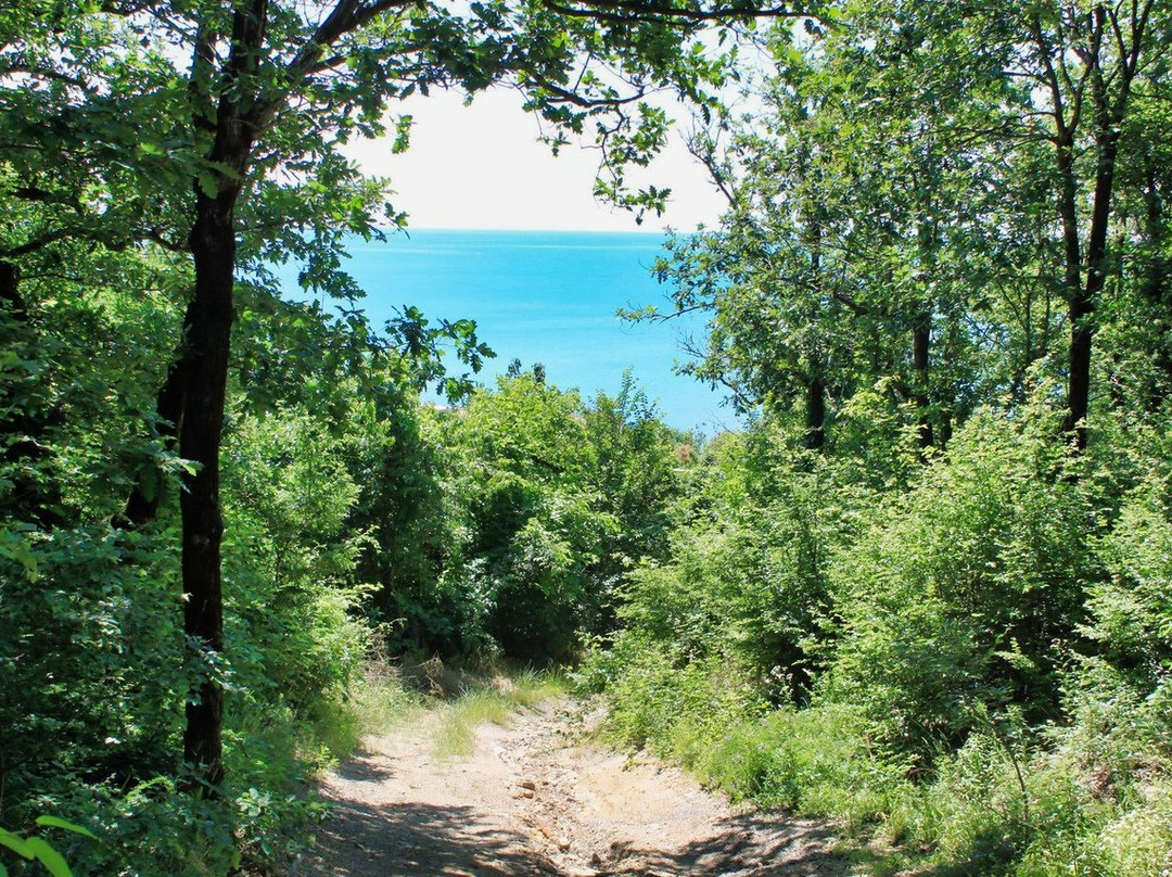 Camping Enot - Lermontovo