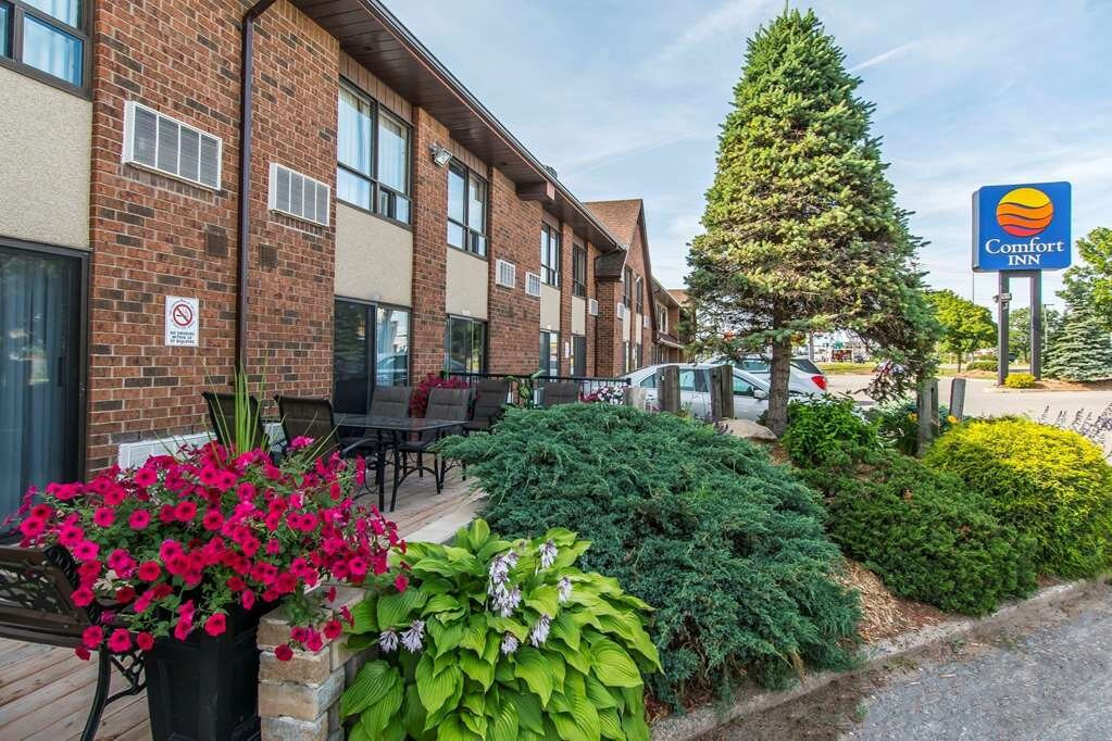 Comfort Inn Sault Ste Marie主图