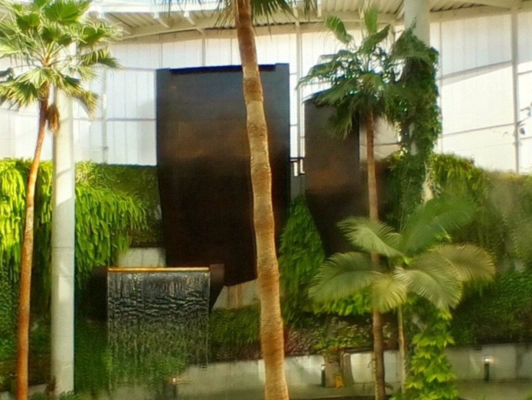 Orquidario de Estepona景点图片